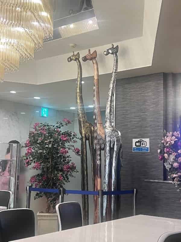 ユーザーの投稿したホテル画像