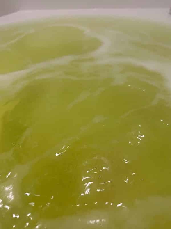 ユーザーの投稿したホテル画像