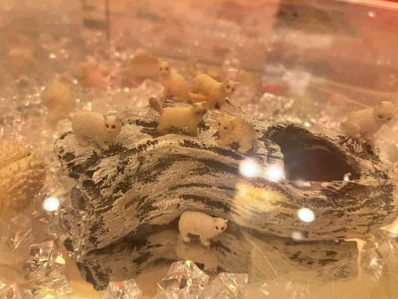 ユーザーの投稿したホテル画像