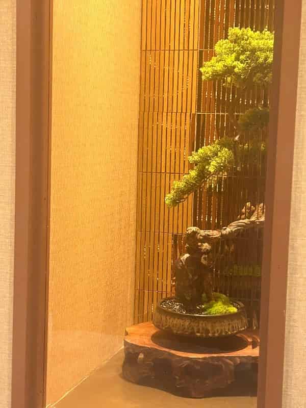 ユーザーの投稿したホテル画像