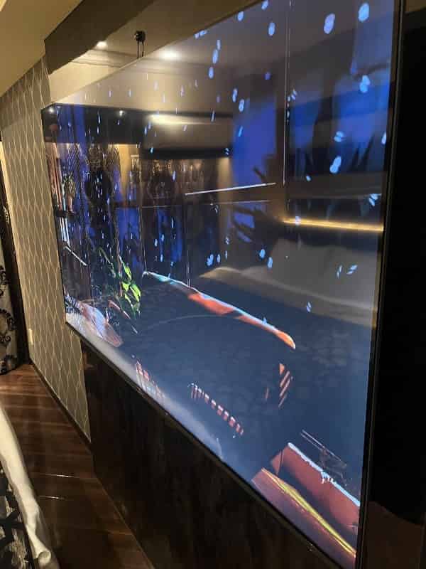 ユーザーの投稿したホテル画像