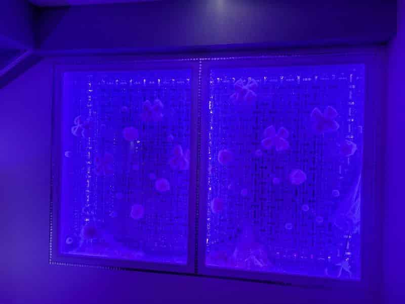ユーザーの投稿したホテル画像