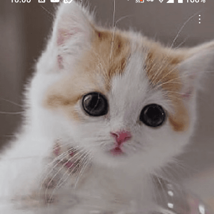会員プロフィール画像