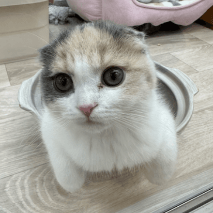 会員プロフィール画像