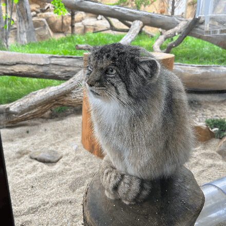 会員プロフィール画像