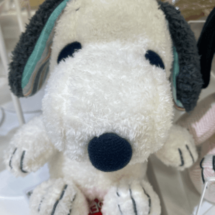 会員プロフィール画像