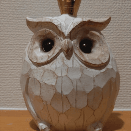 会員プロフィール画像