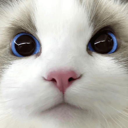 会員プロフィール画像