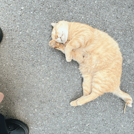 会員プロフィール画像
