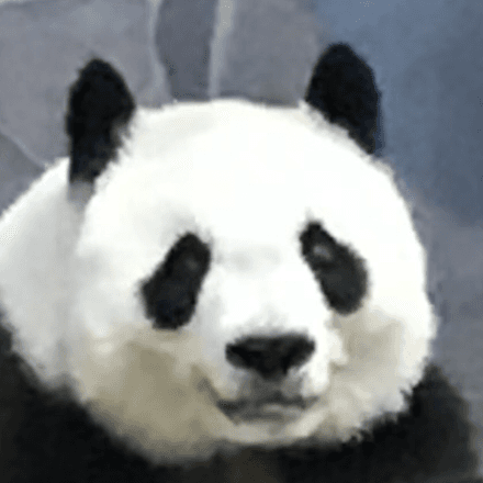会員プロフィール画像
