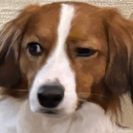 会員プロフィール画像