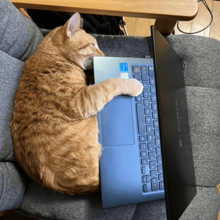 会員プロフィール画像