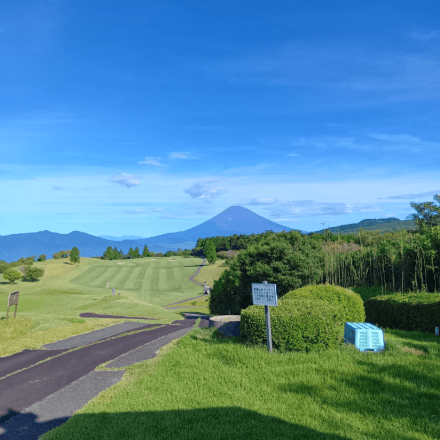 会員プロフィール画像
