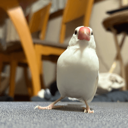 会員プロフィール画像