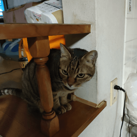 会員プロフィール画像