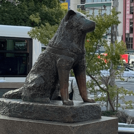 会員プロフィール画像