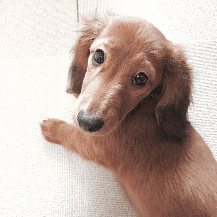 会員プロフィール画像